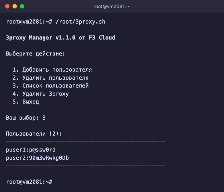 Liste der Proxy-Benutzer im Menü von 3proxy Manager