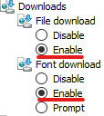Abschnitt Downloads im Fenster Custom level mit den Optionen File download und Font download auf Enable