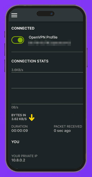 Aktive Verbindung in OpenVPN Connect auf dem Smartphone