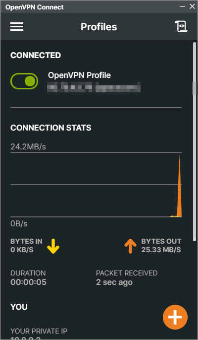 Aktive Verbindung in OpenVPN Connect für Windows
