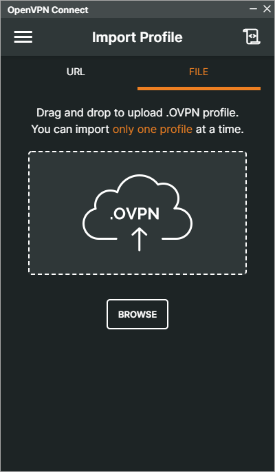 Fenster zum Importieren eines Profils in OpenVPN Connect für Windows