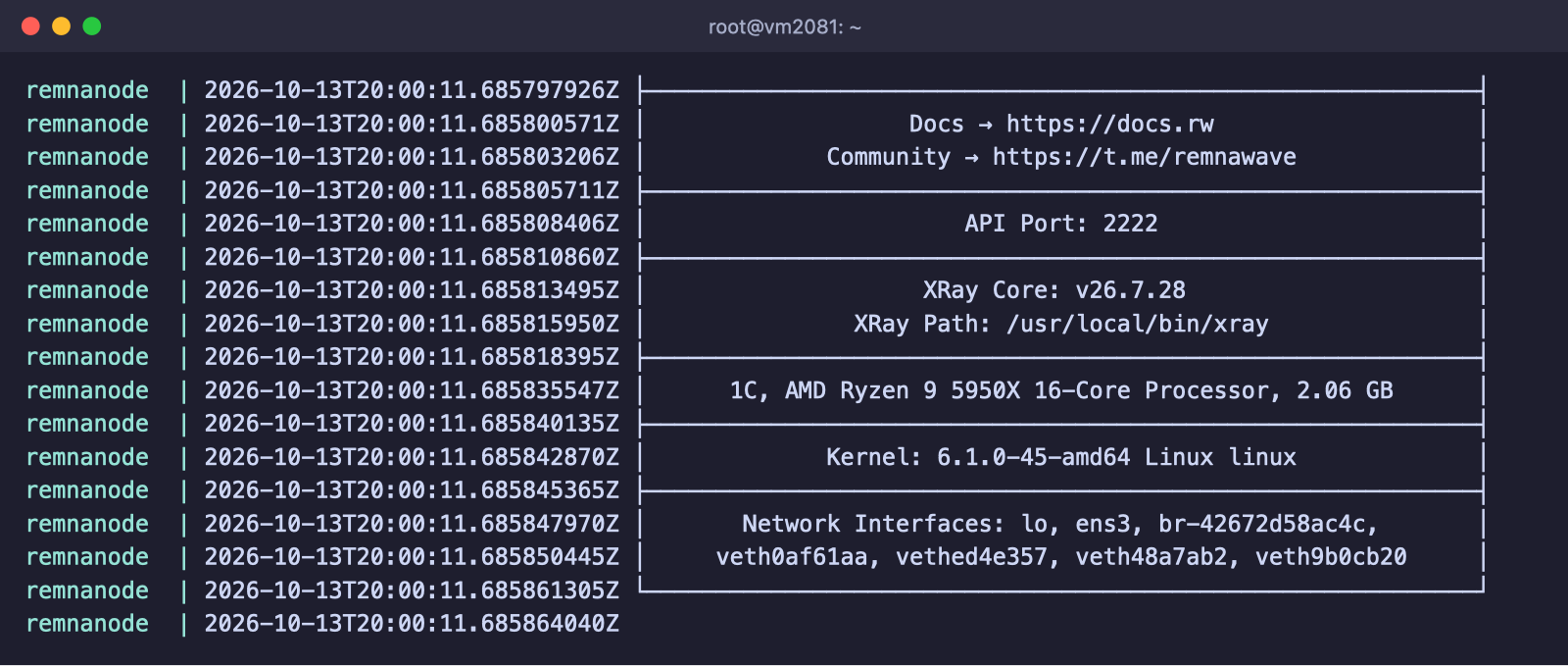 Startprotokoll des Remnawave-Nodes mit der Xray-Version