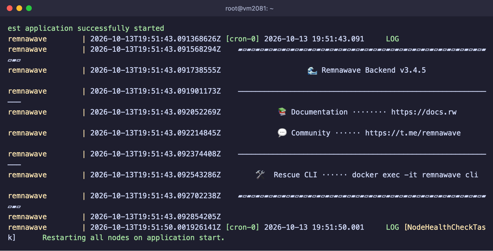 Startprotokoll des Remnawave-Panels mit Version 3.4.5