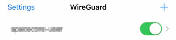 Eingeschalteter Tunnel in der App WireGuard auf dem iPhone